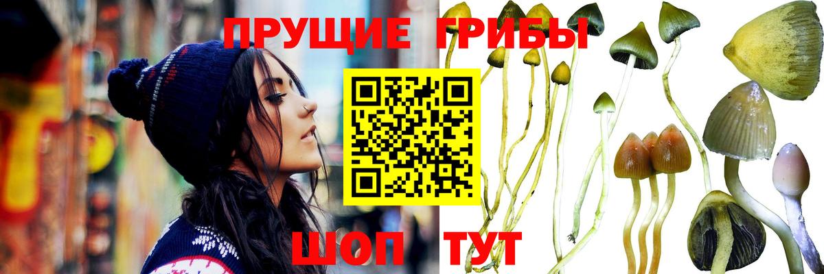 сколько стоит  Галлюциногенные грибы Cubensis  Галлюциногенные грибы прущие грибы  Вход с VPN  Тольятти 